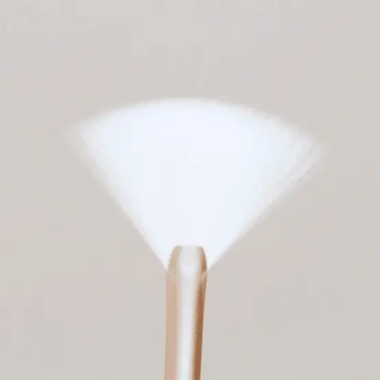 Fan Brush - Image 3